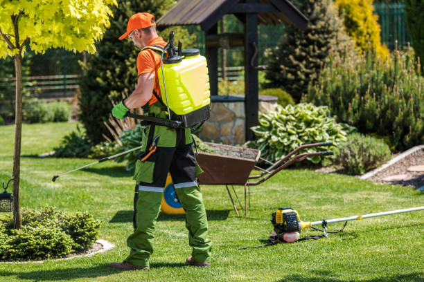 Best Fumigation Services  in Pelican Bay, TX